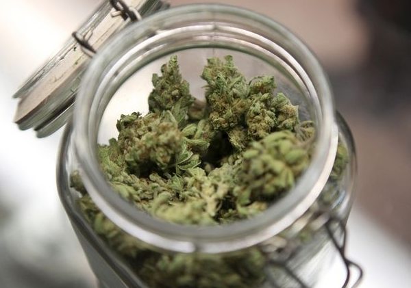 Se borrarán los antecedentes por micro tráfico de marihuana