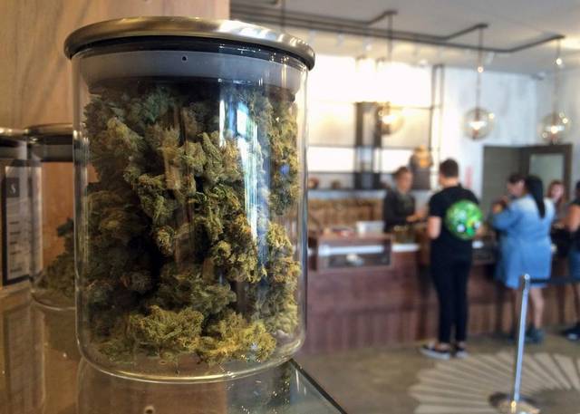 Farmacias San Roque venderán marihuana legal