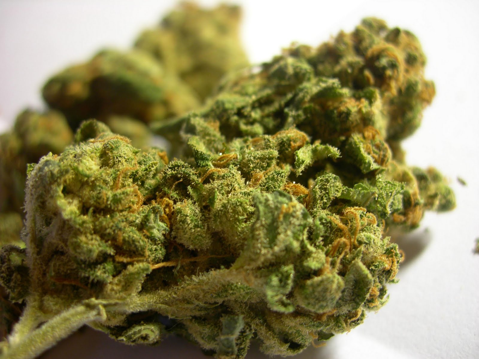 Farmacia San Roque desistió de vender marihuana en sus locales