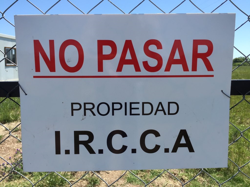 Cannabis en Uruguay: los problemas de suministro siguen obstaculizando el crecimiento del mercado