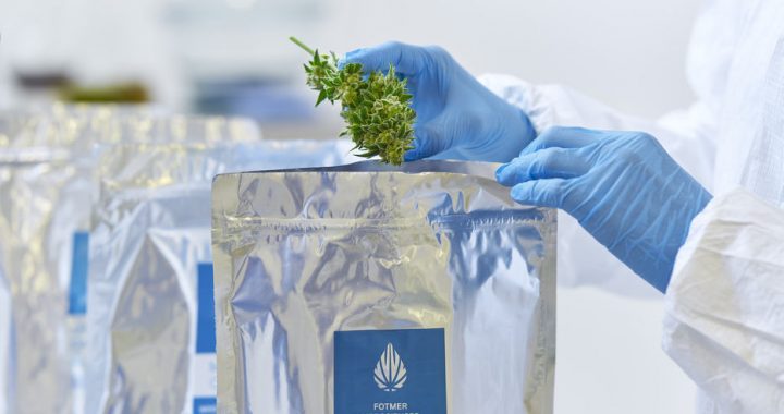 Empresa de cannabis medicinal podría paralizar su producción debido a demoras en permisos