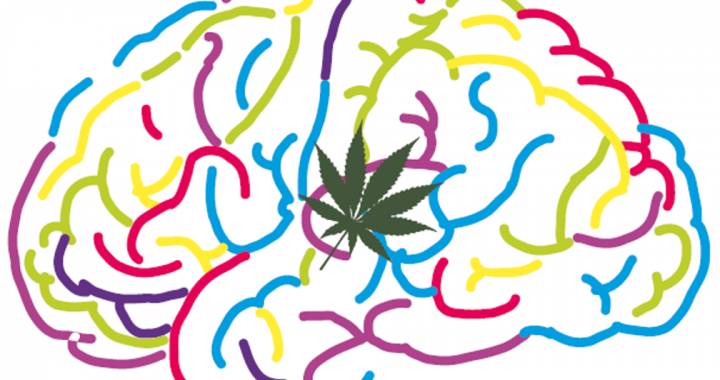 CannaLatan, la red de investigación iberoamericana en cannabinoides